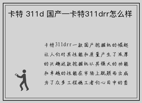 卡特 311d 国产—卡特311drr怎么样