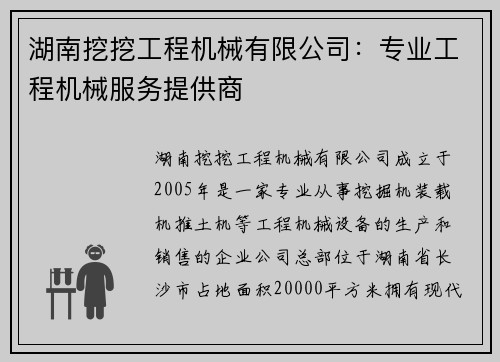 湖南挖挖工程机械有限公司：专业工程机械服务提供商